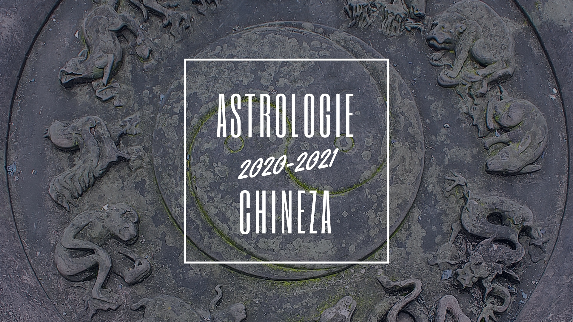 astrologie chineza